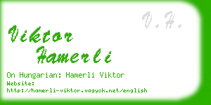 viktor hamerli business card